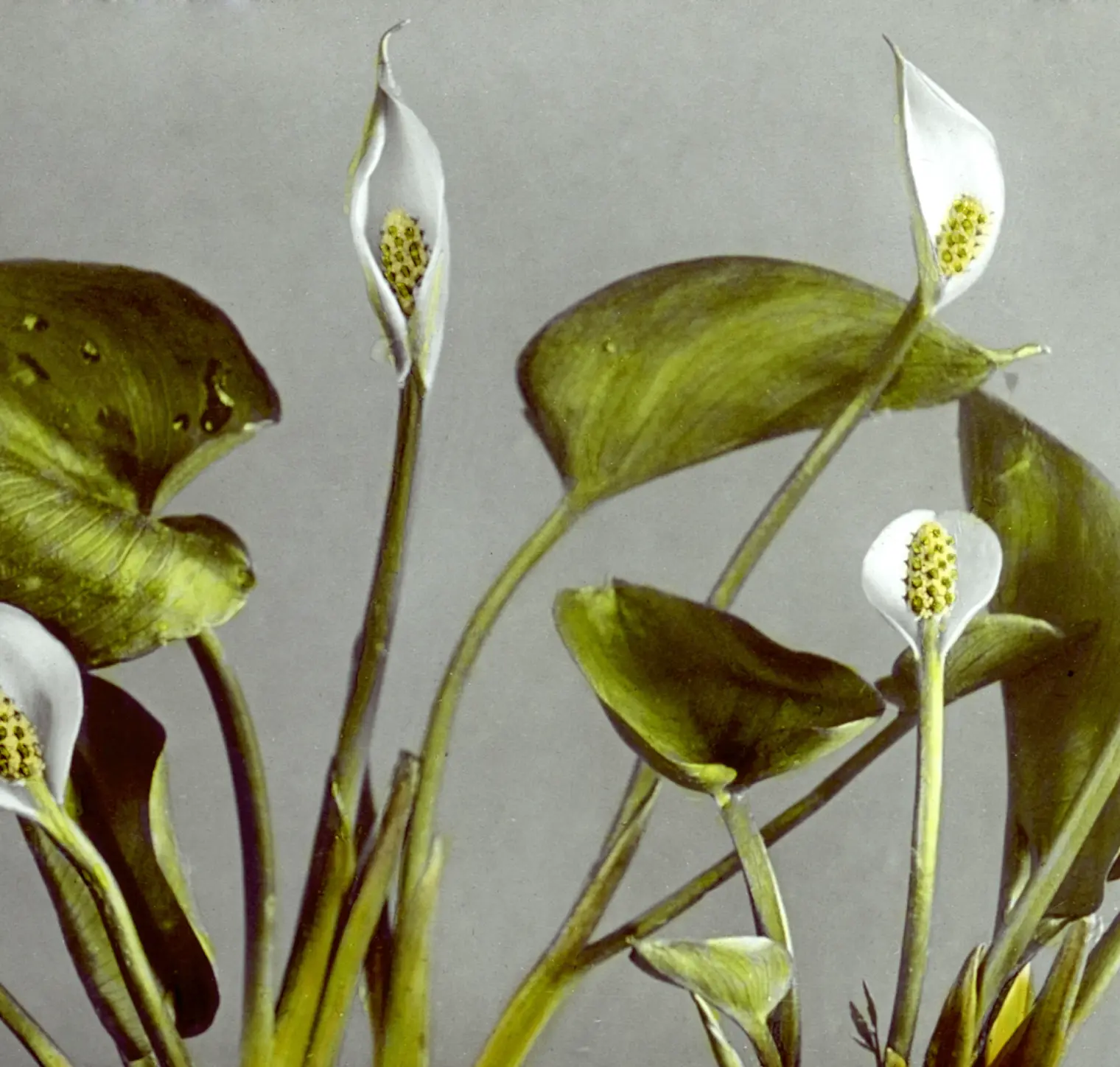 Illustration abstraite représentant l’innovation et l’automatisation